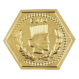 سکه پارسیان