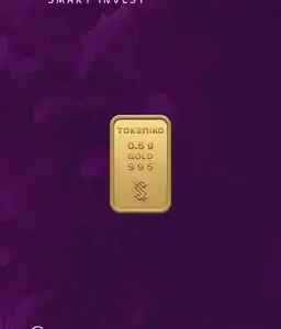 شمش طلا توکنیکو 0.5 گرم - عیار 995