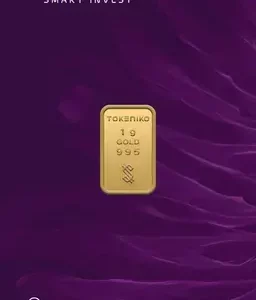 شمش طلا توکنیکو 1 گرم - عیار 995