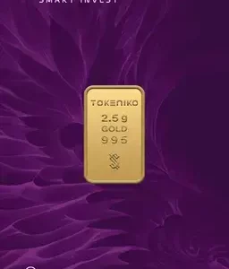 شمش طلا توکنیکو 2.5 گرم