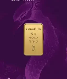 شمش طلا توکنیکو 5 گرم